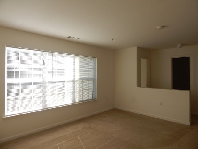 Lots of natural light!
