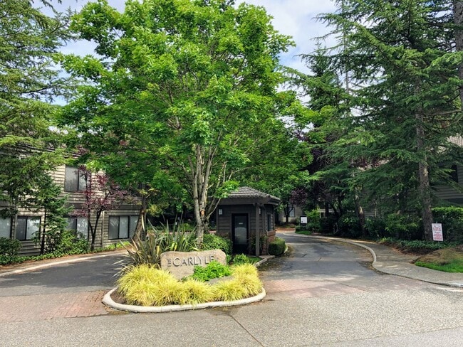 Building Photo - Spacious 2db, 2ba Condo Downtown Bellevue in Tranquil Setting Unit 2