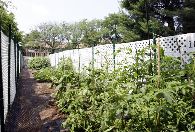 Community Garden