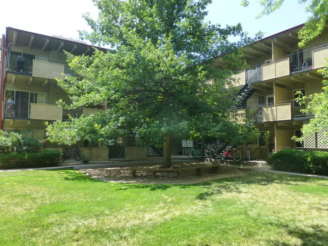 Building Photo - 2401 S Gaylord St Unit 103 Rental