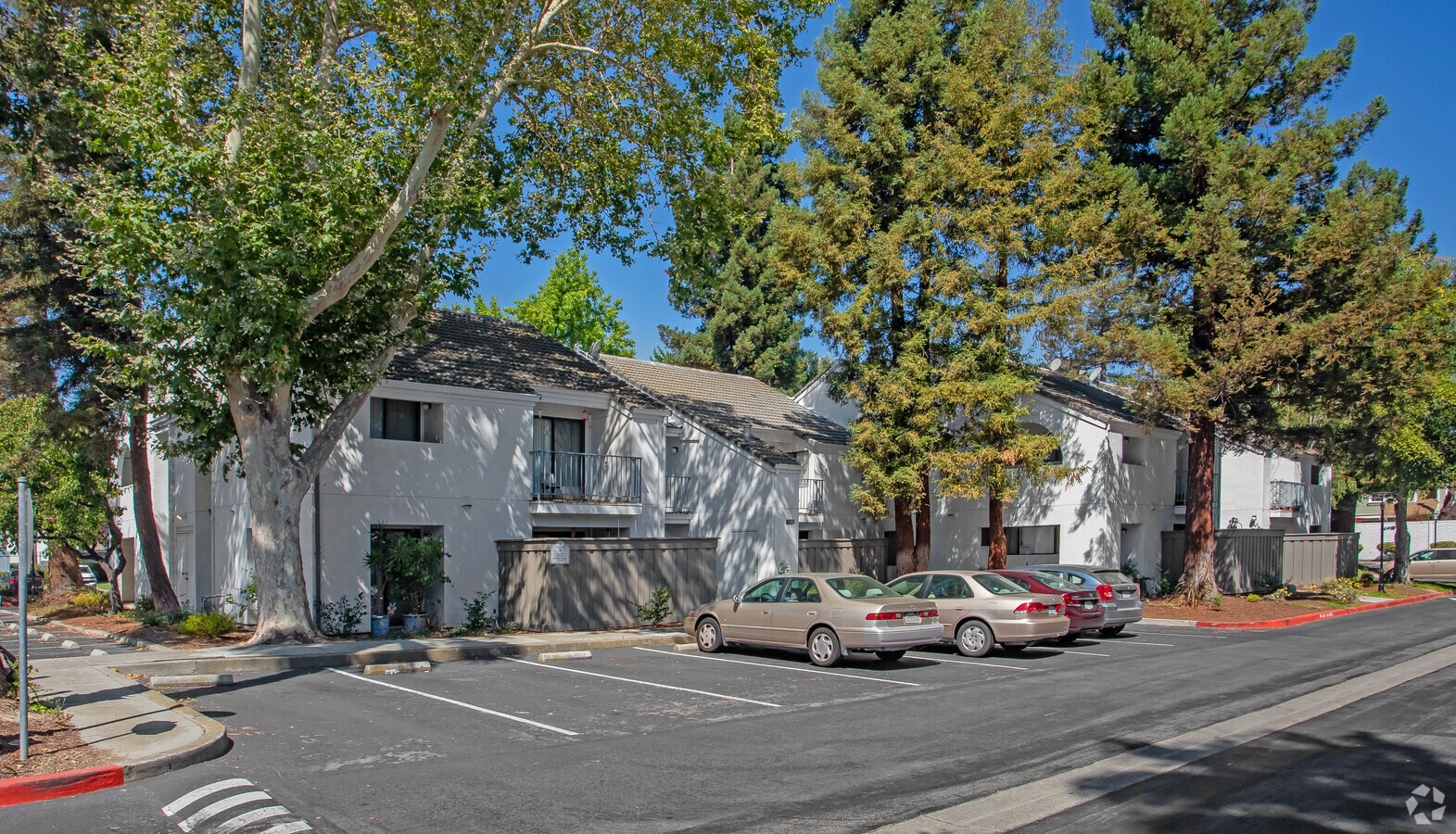 Courtyard Berryessa - Courtyard Berryessa Apartments