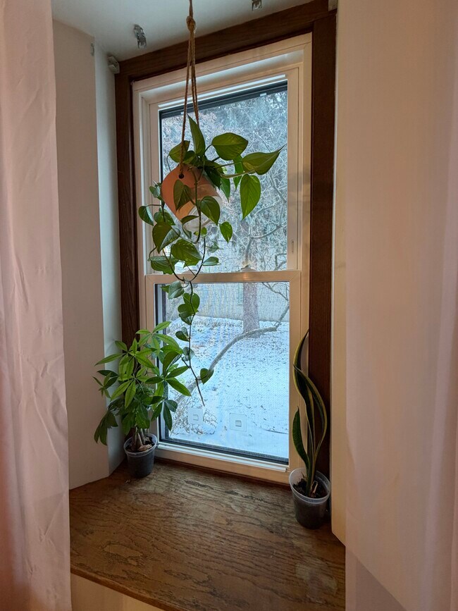 Photo - 261 Averill Ave Unidad Rear