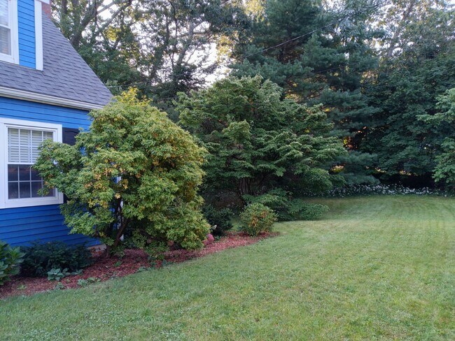 Photo - 288 Cedar St