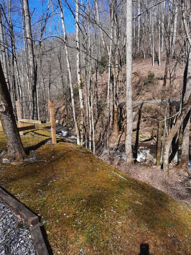 Photo - $1,600 - 4 Bedroom 2 Bathroom Furnished Log Cabin on the Creek