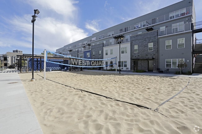 Volleyball Court