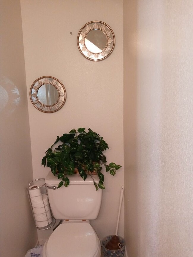 Photo - Enchanted Hills