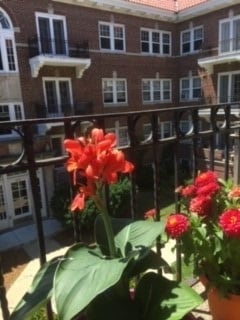 Photo - Carlton Apartments