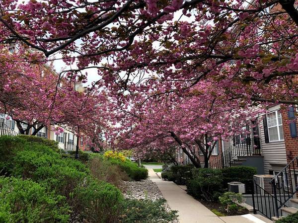 Photo - 1 Vaughan Dr