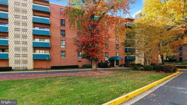 Building Photo - 6141 Leesburg Pike Unit 501