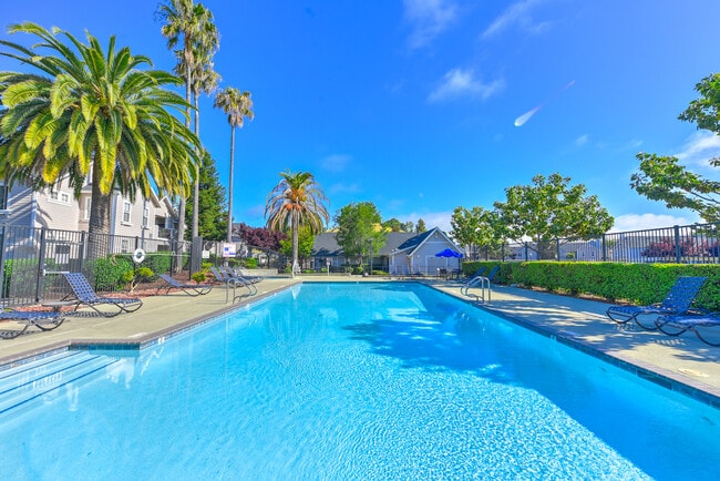 Bay Vista at Meadow Park