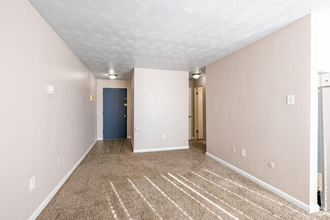 STUDIO - 1 BA - 417SF - Living Room