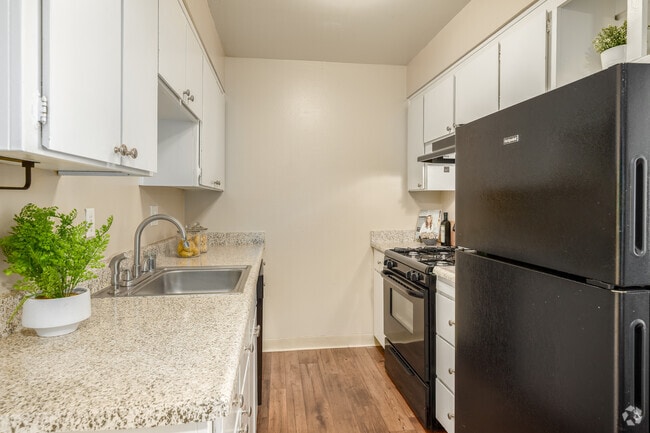 2BR, 1BA - 850SF - Kitchen