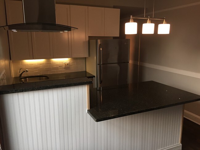 Granite countertop/stainless steel applicance - 644 W Schubert Ave Apartments Unit 3 Front