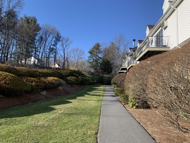 Entrance Walkway - 28 Williamsburg Ct