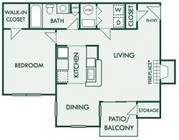 The Sycamore