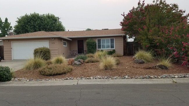 House in Westwood Manor, back yard set up ... - House in Westwood Manor, back yard set up ...