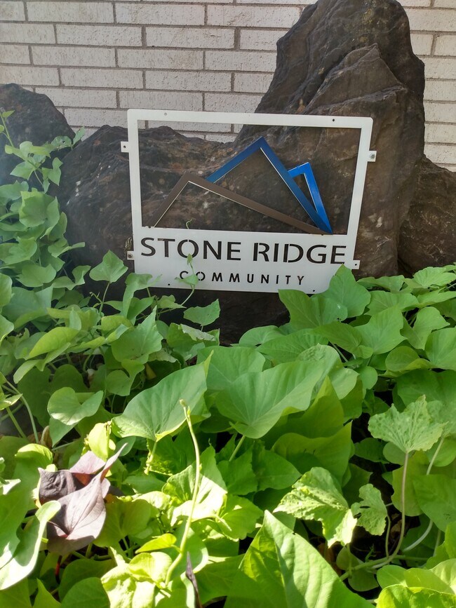 Stone Ridge Apartments ALL BILLS PAID Wichita Falls, TX