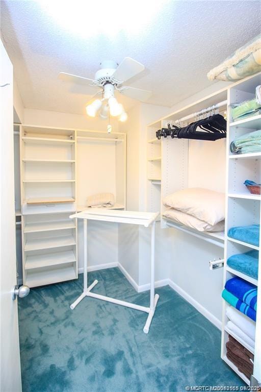 Building Photo - 2491 NE Ocean Blvd Unit 302