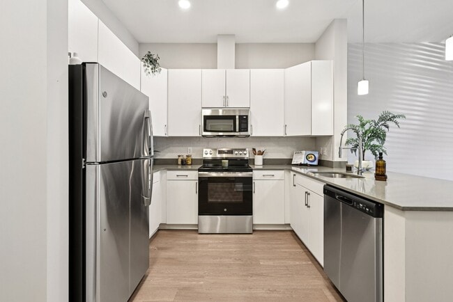 Photo - Elms Shady Grove