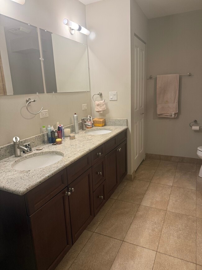 master bathroom - 525 Kedzie St Unit South Evanston Apartment