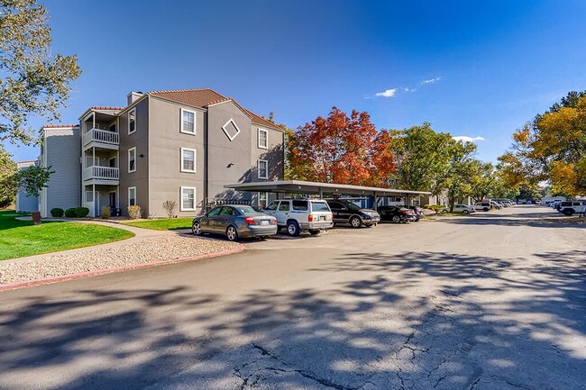 Sienna at Cherry Creek Apartments