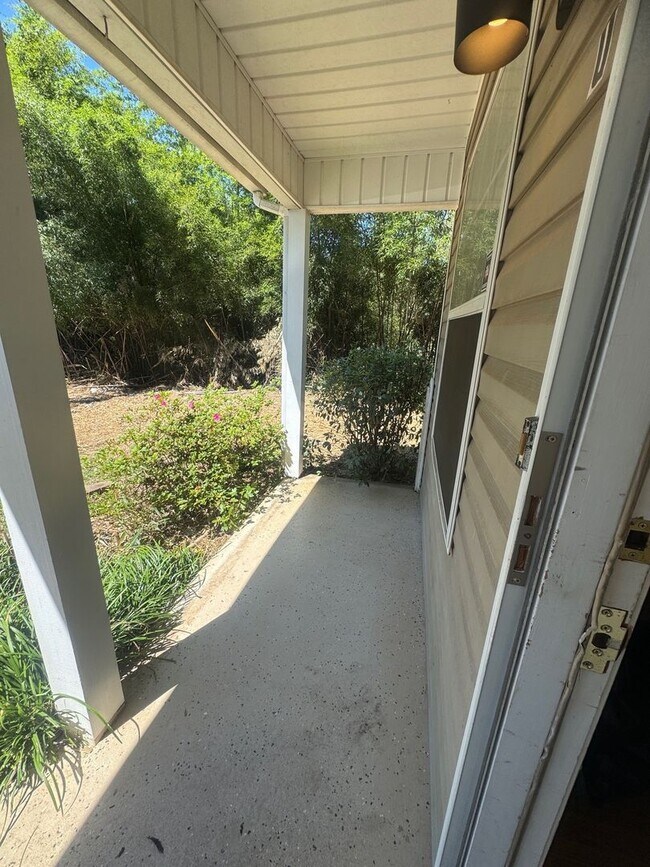 Photo - Stanley Park