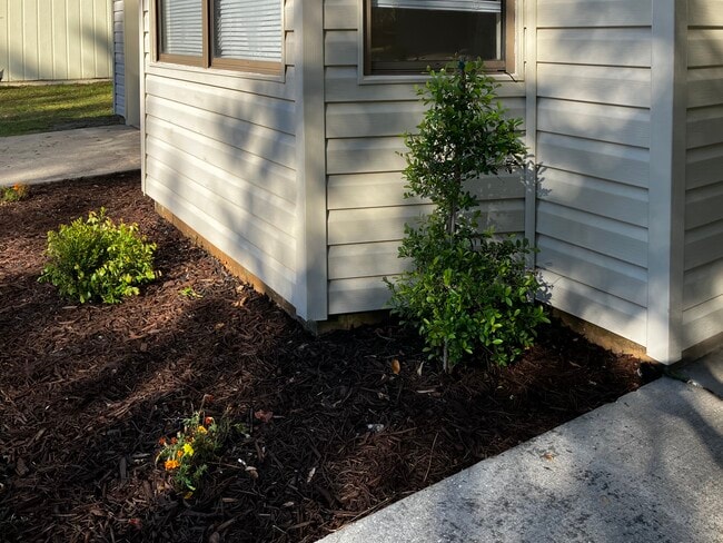 Photo - 105 Pinedale Dr