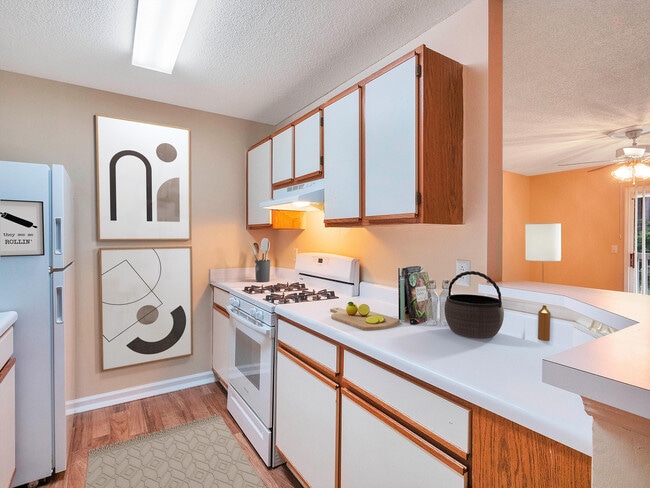 Photo - The Cove at Cloud Springs Apartment Homes