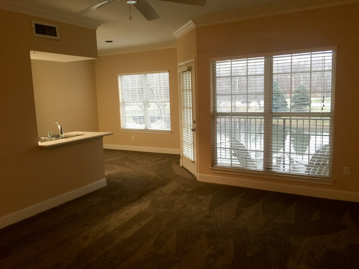 Living Room View - 11630 Tomahawk Creek Pkwy Condo