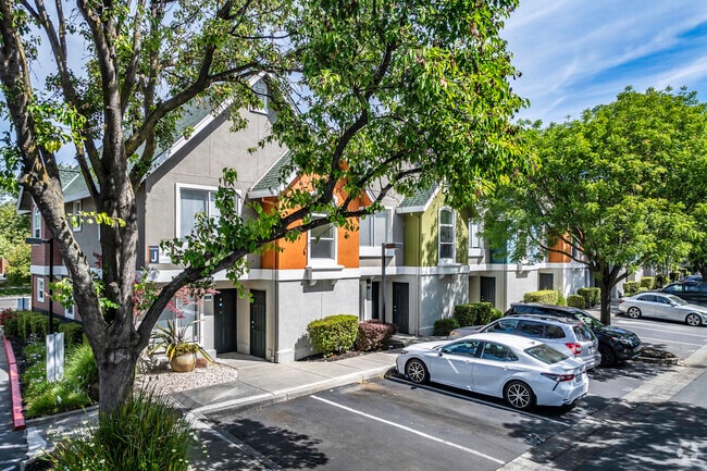 Edificio alternativo - Oakshade Commons