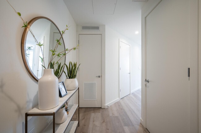 Photo - Collection 14