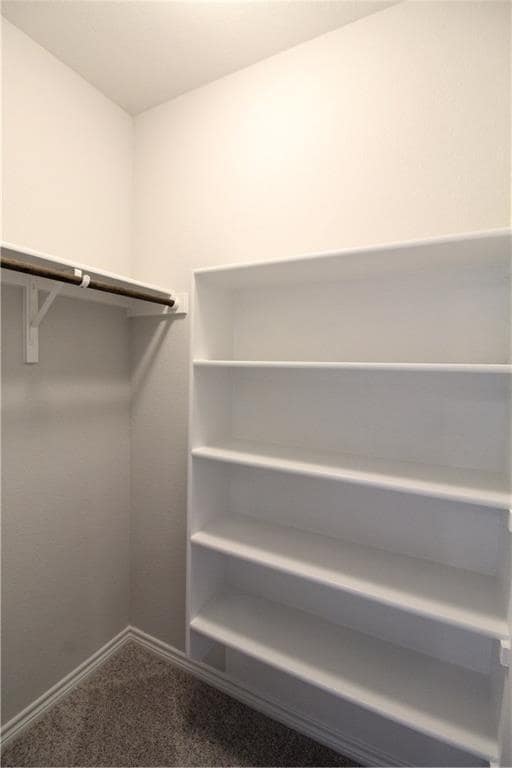 Photo - 1732 Yaupon Grove Ln