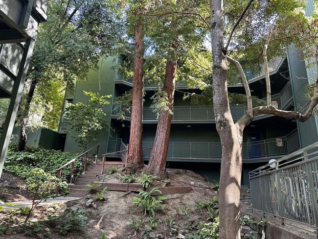 Building Photo - Bright Furnished 1BD/1BA Near UC Berkeley – Quiet, Updated & Move-In Ready Unit #306