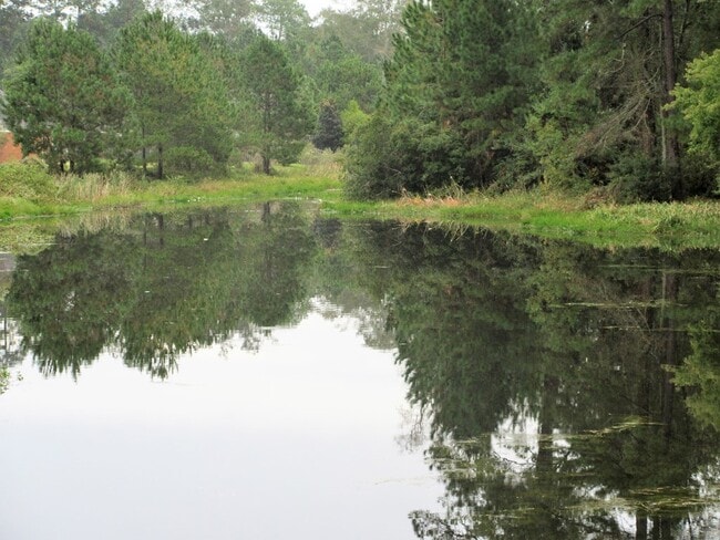 Photo - 301 Summercreek Cove