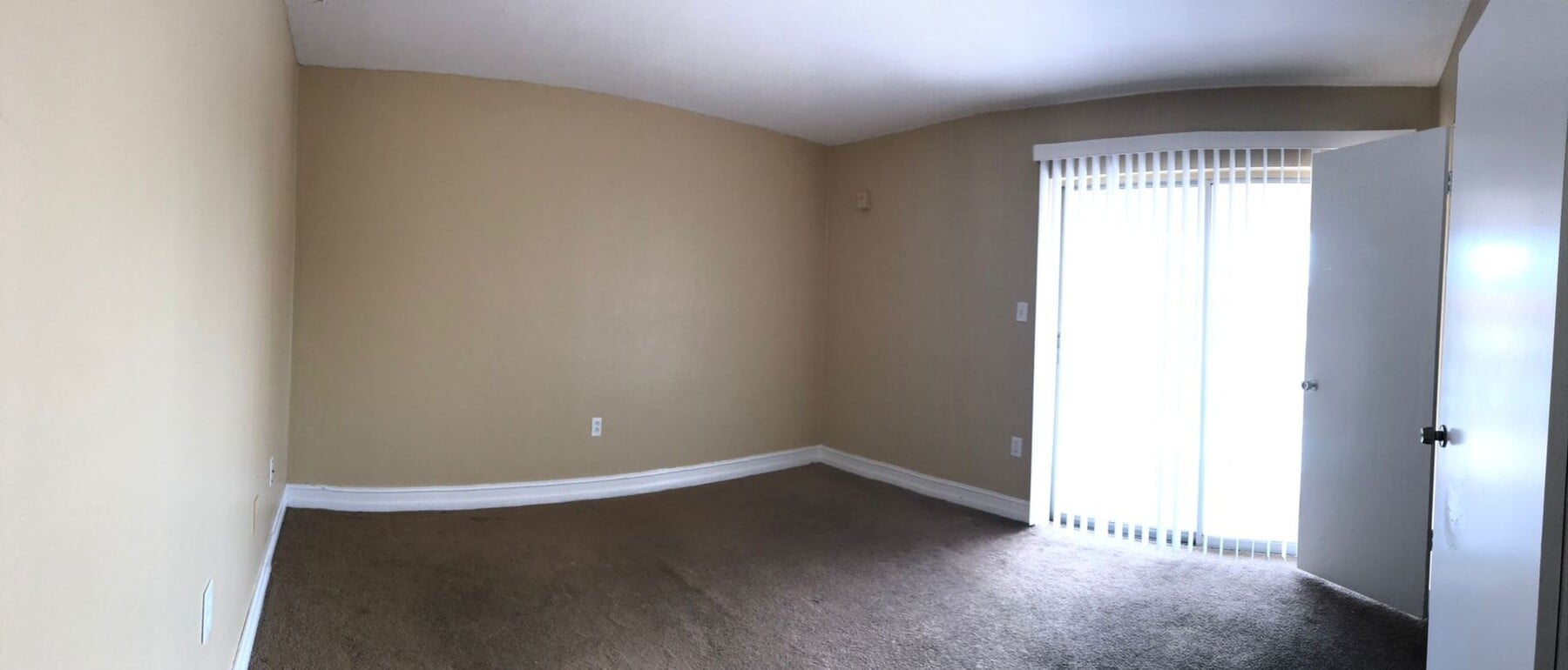 Photo - Green Tee - # 323