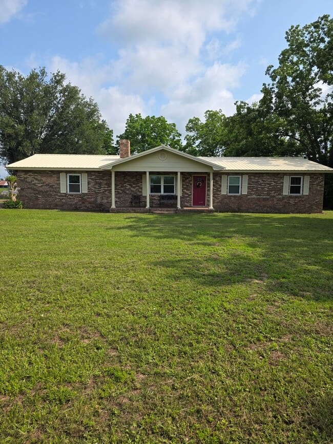 Charming Greenville House on Acre lot - Charming Greenville House on Acre lot