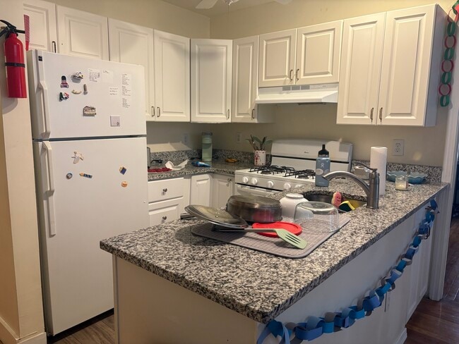 Photo - 62 Egmont St