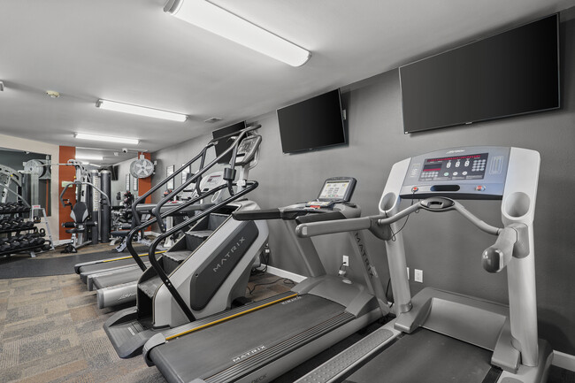 Photo - Boulder Creek