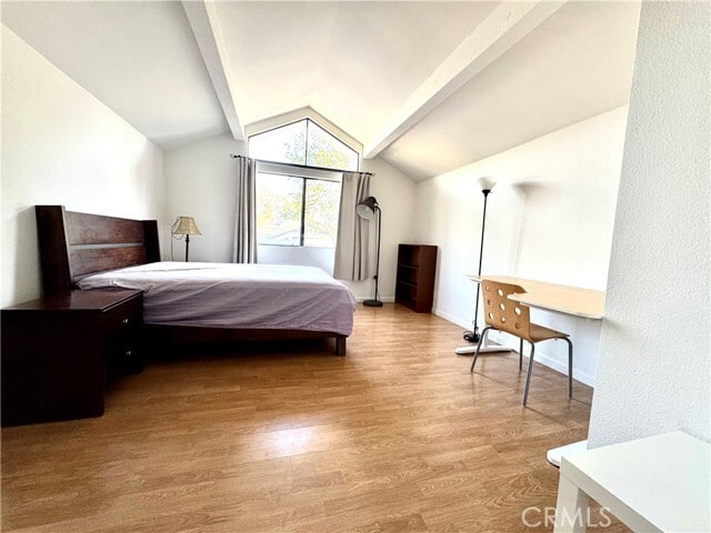 Photo - 20 Springflower