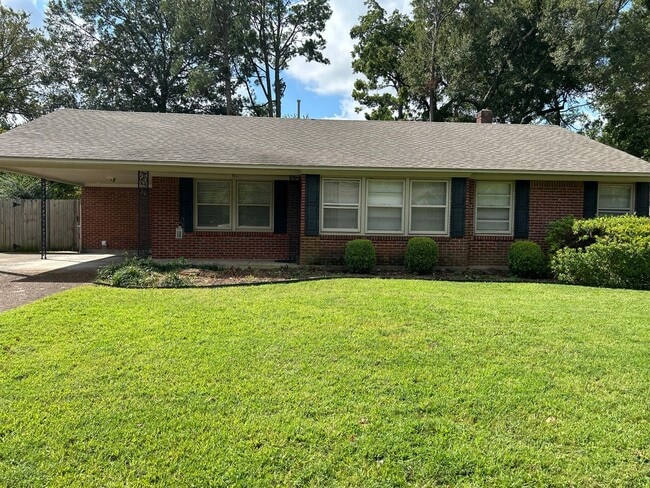 Great Street in East Memphis ! Renovated k... - Great Street in East Memphis ! Renovated k... House