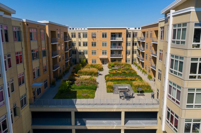 Photo - Currents on the Charles