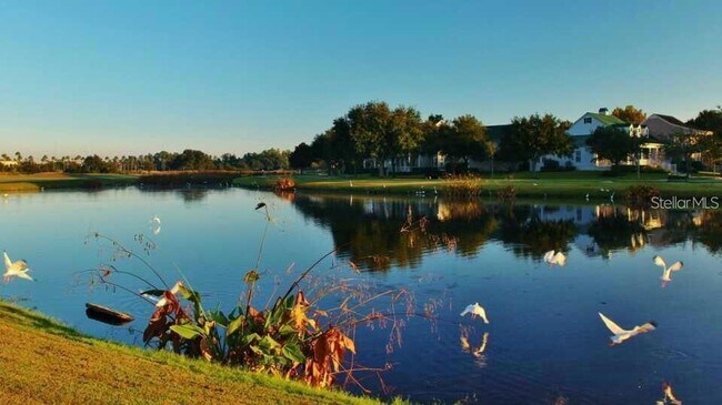 Photo - 934 Westpark Dr