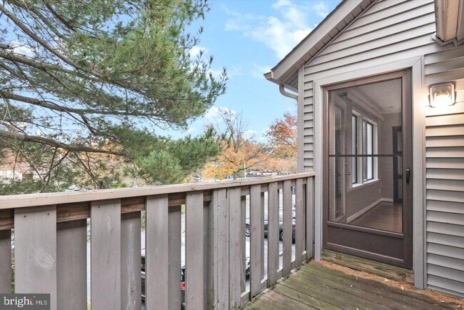 Photo - 1966 The Woods II