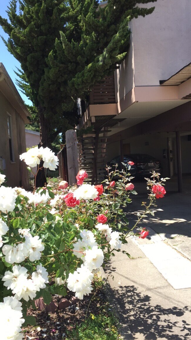 Photo - 928 Adams St Unit # 3