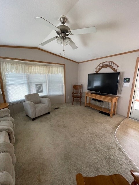 Photo - 2701 N McColl Rd