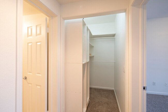 Photo - 4626 Albuquerque St Unit B