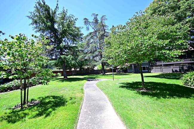 Casa Arroyo Apartments