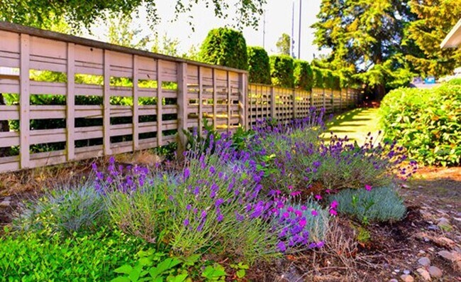 Photo - Sequoia Grove Apartments