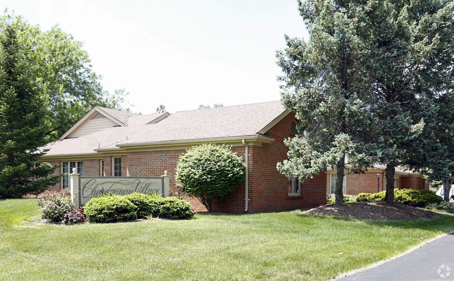 Primary Photo - Chardonnay Village