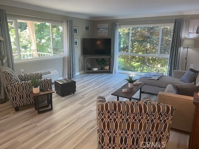 Photo - 41 Calle Aragon